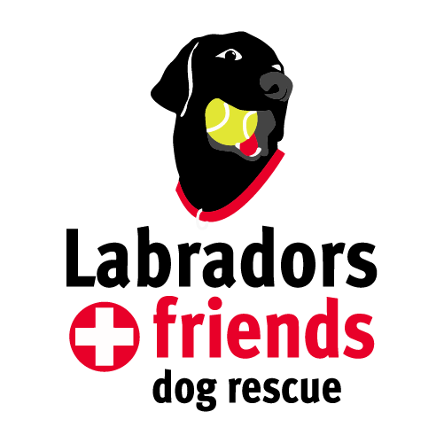 Labradors & Friends Dog Rescue