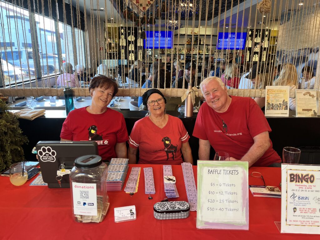 Labradors and Friends volunteers helping at Bingo Night