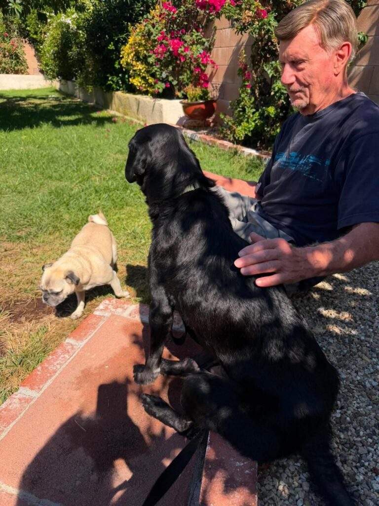 Fremont with his adopter and pug sibling after finding his forever home