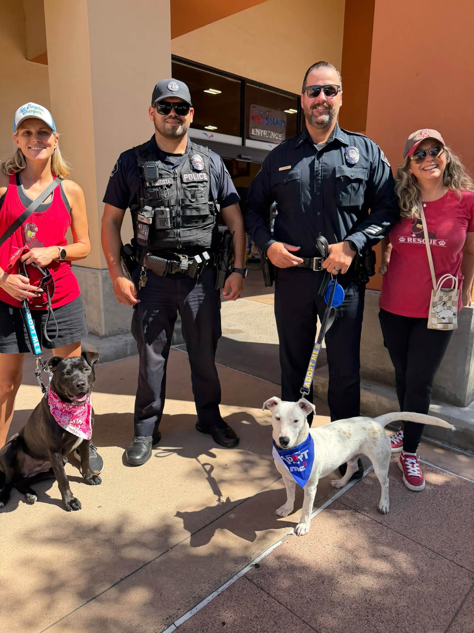 Labradors and Friends volunteers and adoptable dogs with Brea Police Department officers at a community outreach event in Brea, California.