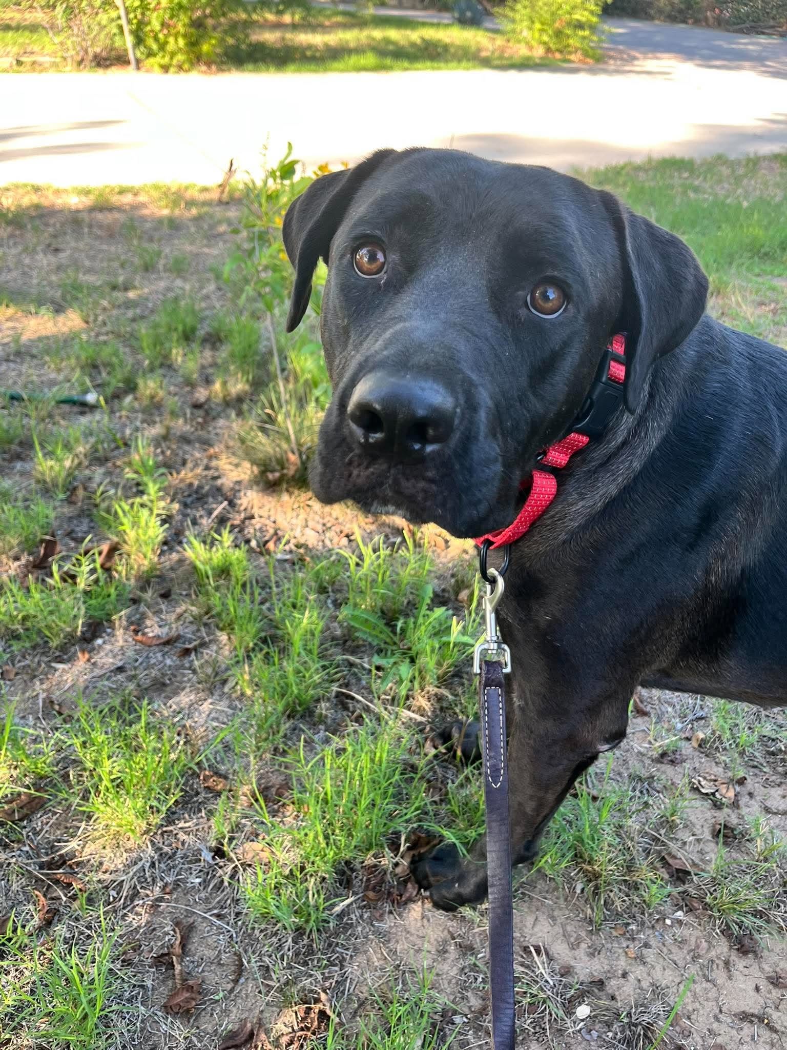 Jesse, Part 2: Learning to Trust