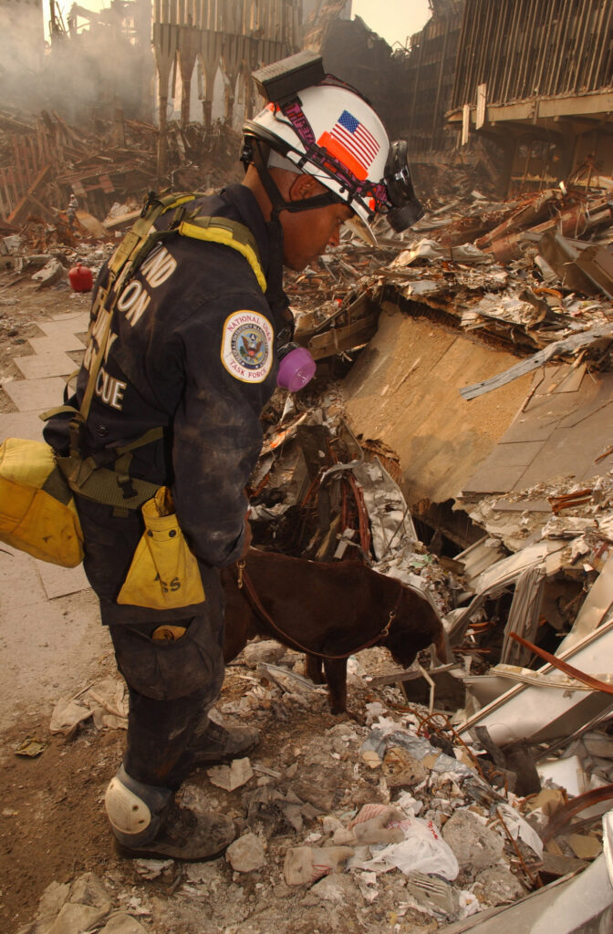 Rescue worker and search dog working in the debris at Ground Zero after the September 11 attacks