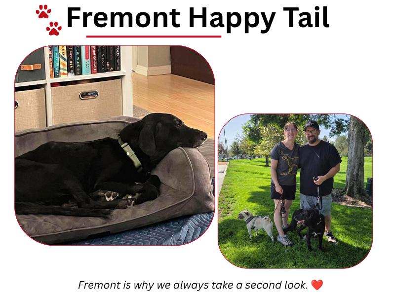 Fremont: Why We Always Take a Second Look