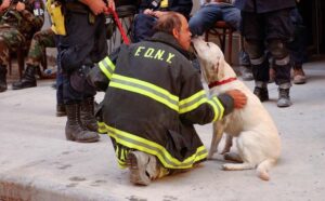 Remembering the Dogs of 9/11
