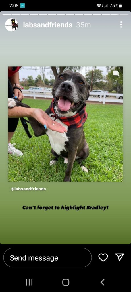 Christie shared Bradley on Instagram in 2022 after he had spent nearly two years waiting for a home. A former coworker saw the post, asked about Bradley, and later adopted him on Christmas Eve.