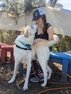Showing Up Matters: Amy’s Journey from Dog Walker to Lifesaver