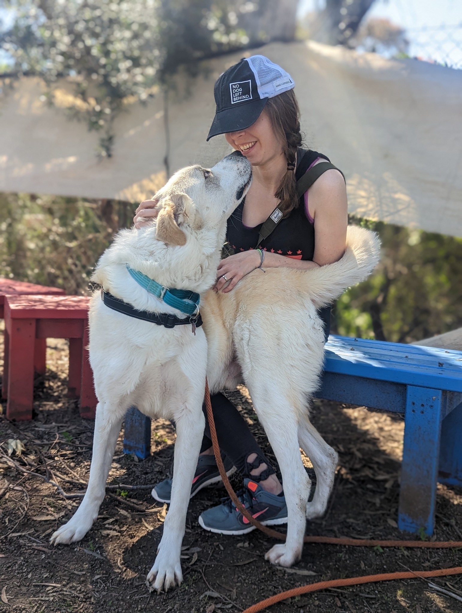 Showing Up Matters: Amy’s Journey from Dog Walker to Lifesaver