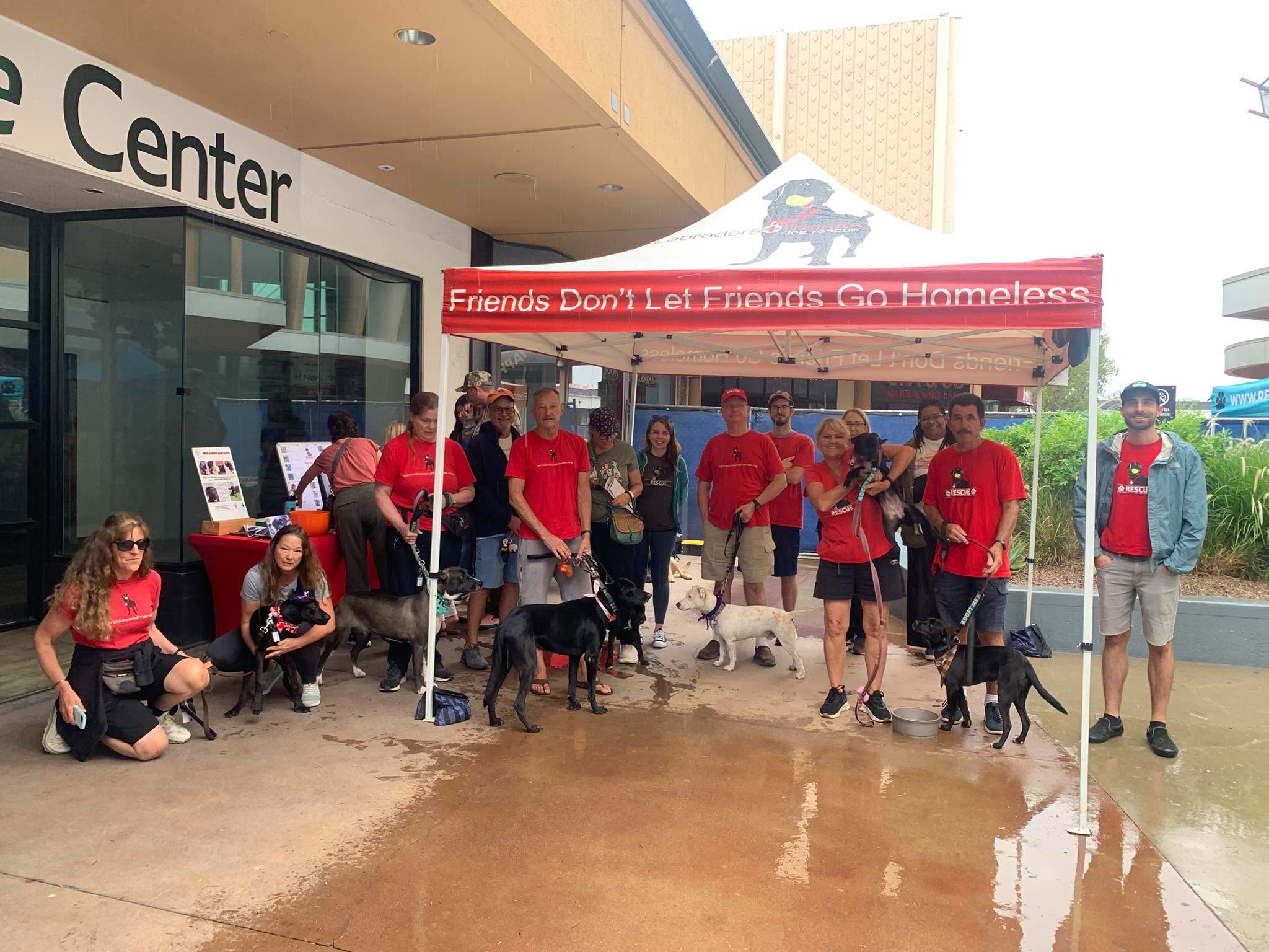 Labradors and Friends volunteers and adoptable dogs gather beneath the rescue's red tent at a rainy adoption event at Grossmont Center.