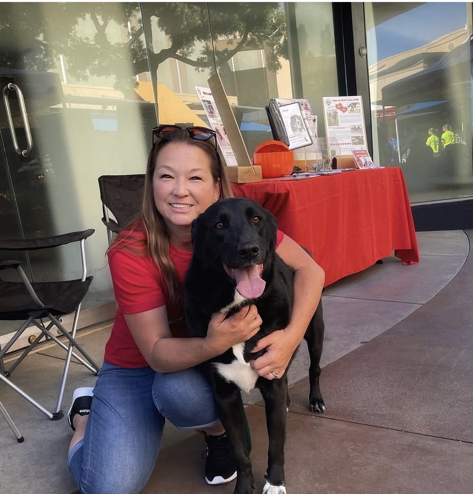 From shelter pulls to adoption events, Lina has spent eight years helping dogs find their second chances.