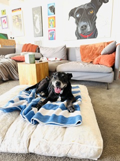 Apple relaxing comfortably on her bed at home, surrounded by the family life she loved.