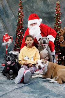 Apple posing with her family for a holiday photo with Santa.