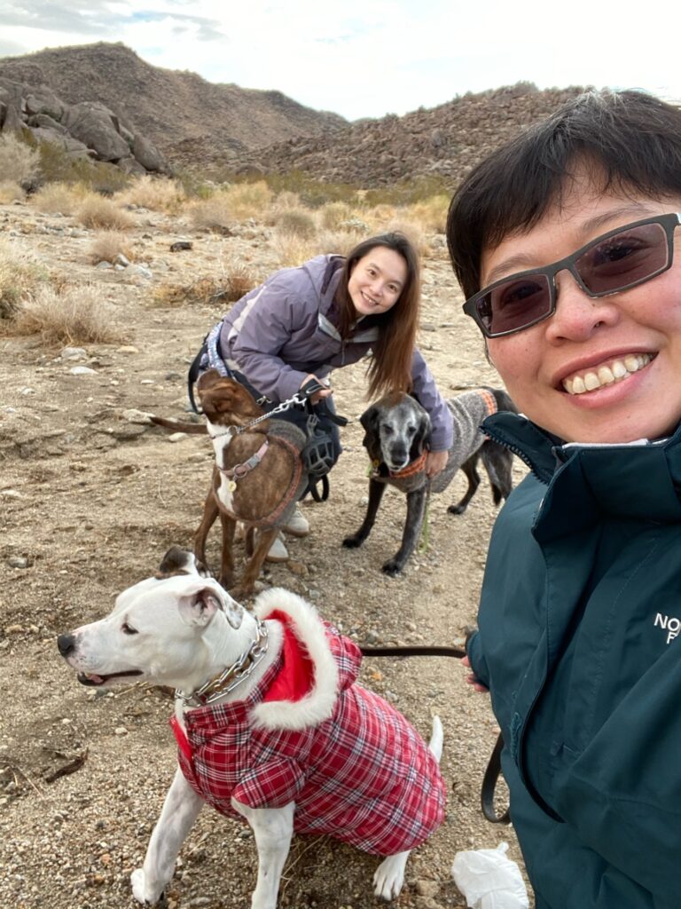 Brooke and Irene enjoying an outdoor adventure with Dottie and their other dogs on a rocky desert trail.