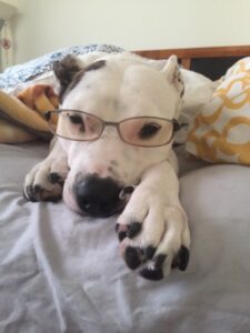 🌈 Dottie — The Little Girl Who Defied the Odds