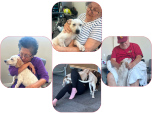 Weekly Tail Wag #012 – Every Yes Changes a Life